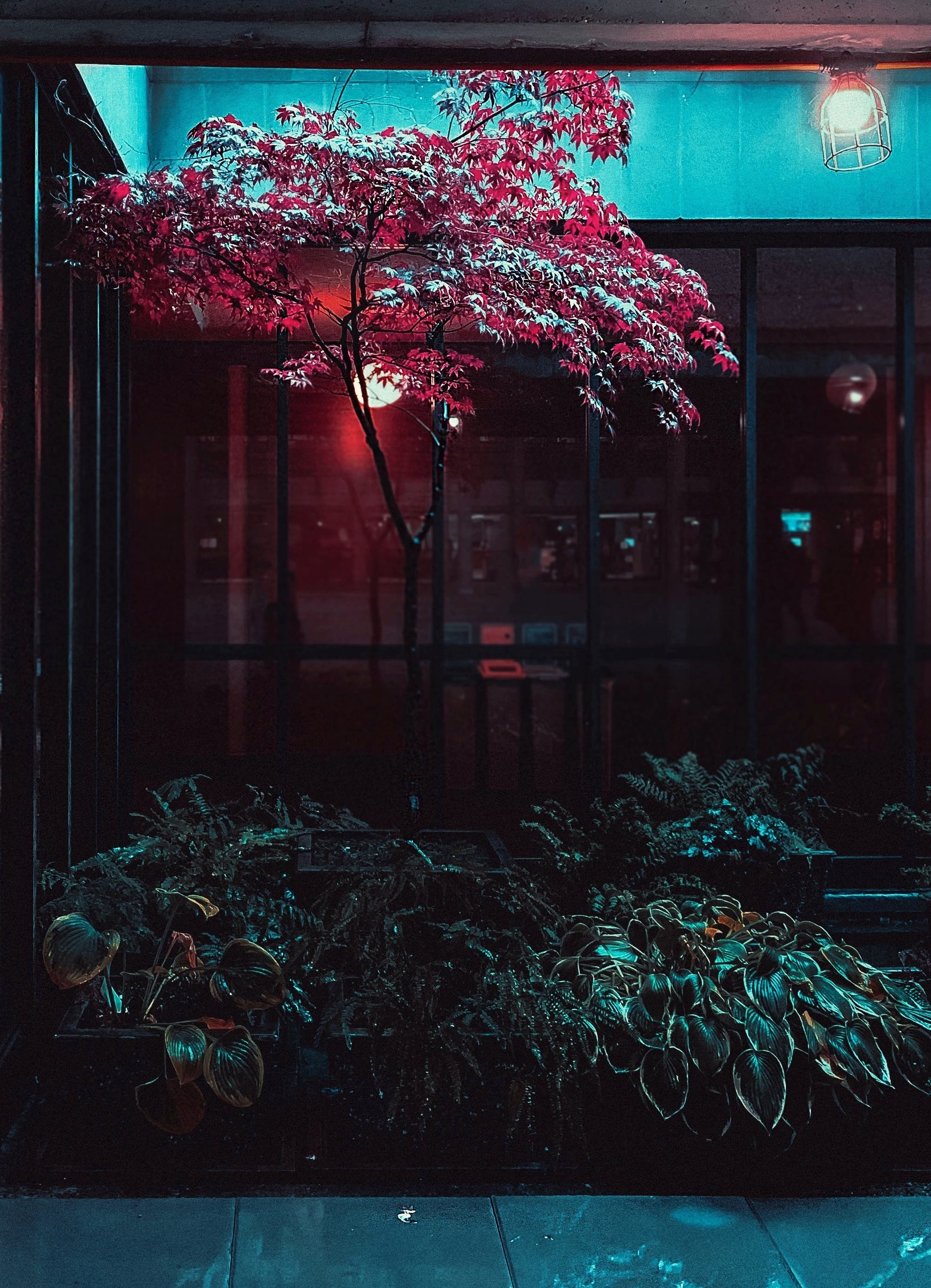 outside-coffee-with-tree